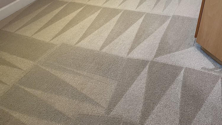 How to Maintain Your Carpets Between Professional Cleanings