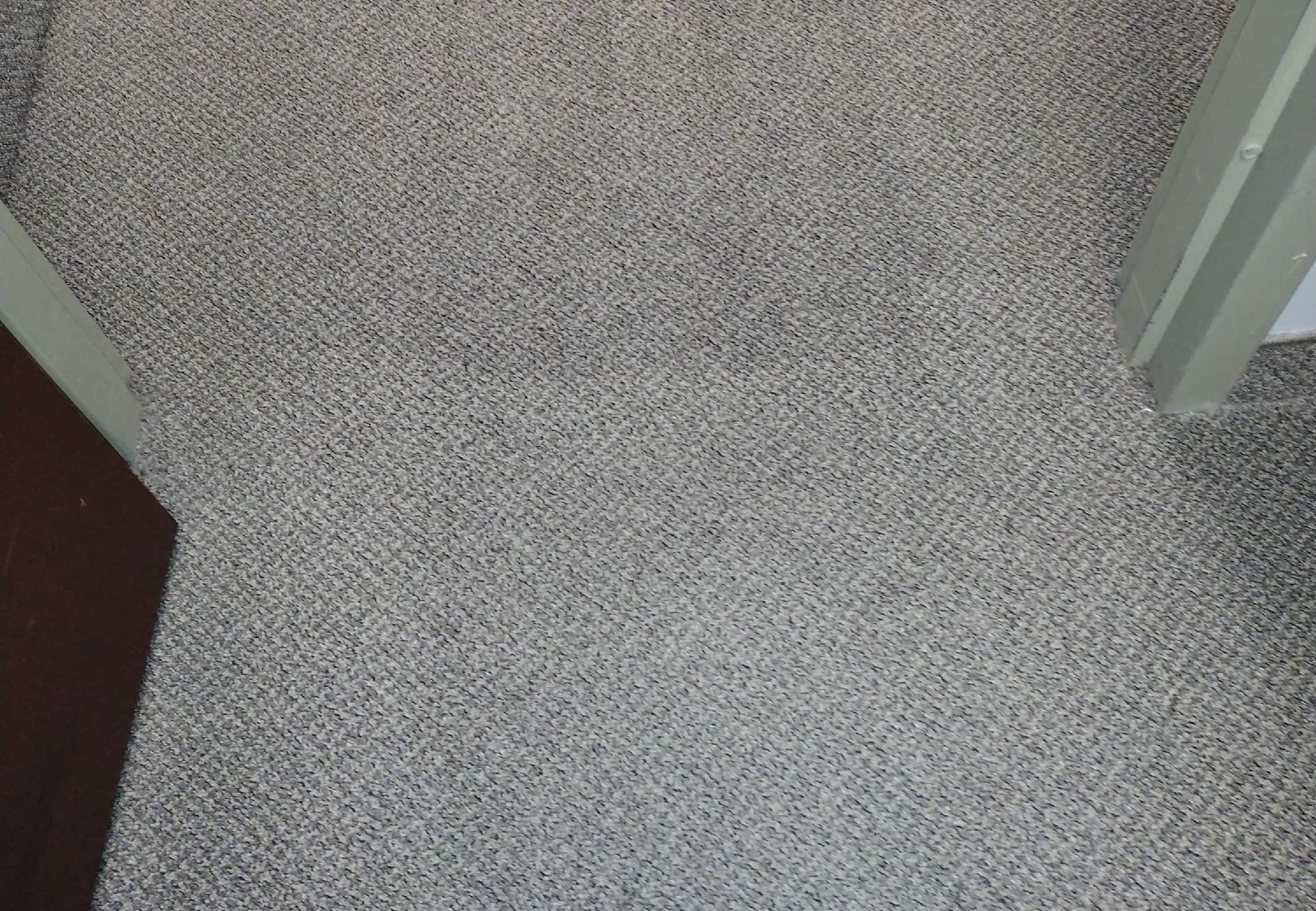 Clean commercial carpet in an office after professional steam cleaning by Elite Carpet Care