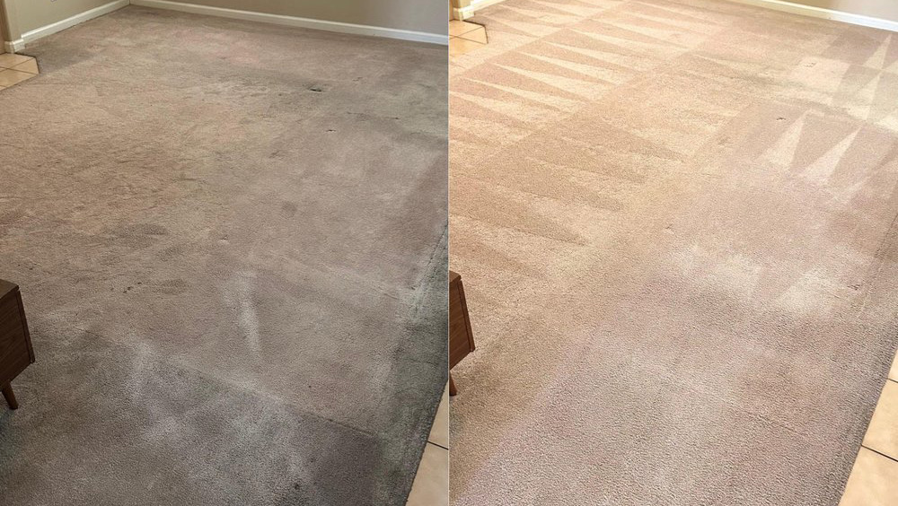 Carpet Cleaning